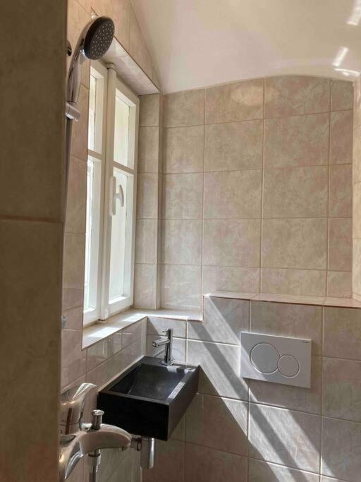 Studio In Gothic House, 50M To The Old Town Square Prague Luaran gambar