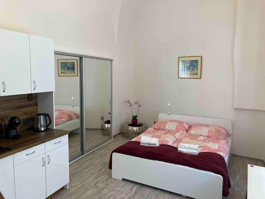 Studio In Gothic House, 50M To The Old Town Square Prague Luaran gambar